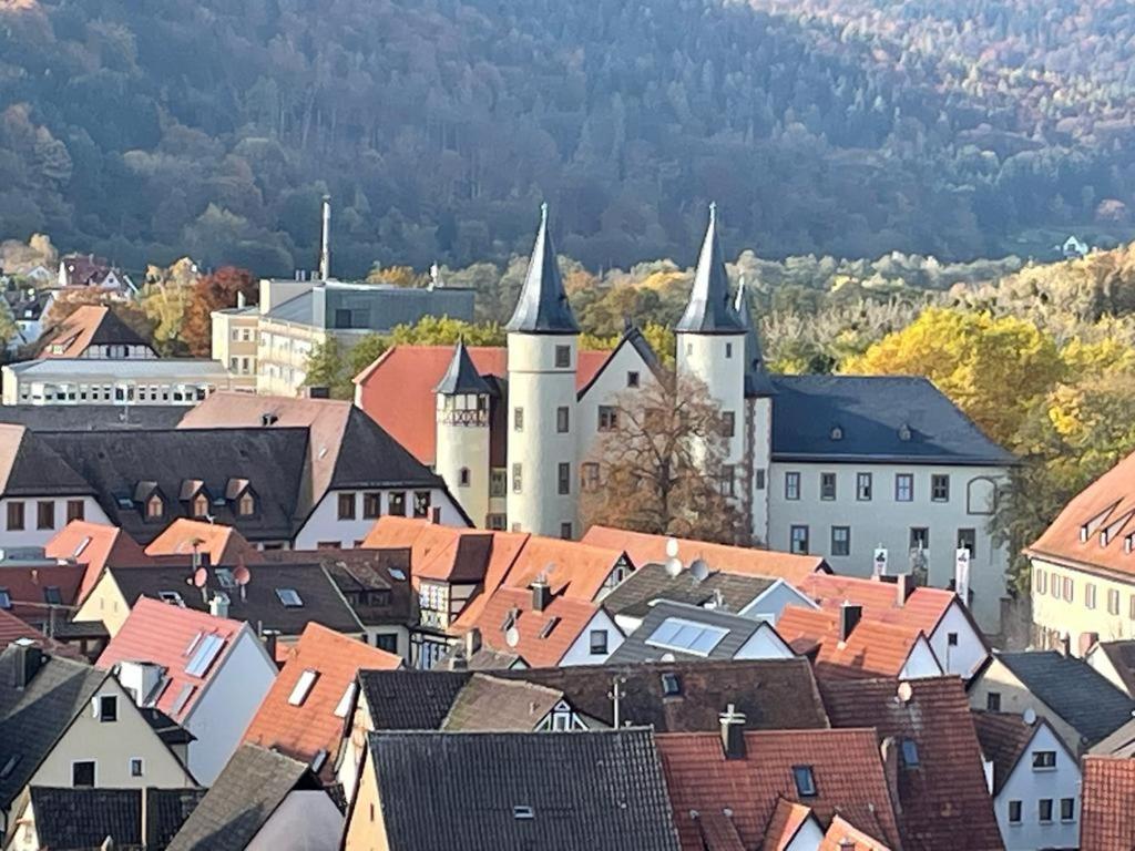 Wohnen Im Springerhof Apartment Lohr am Main ภายนอก รูปภาพ