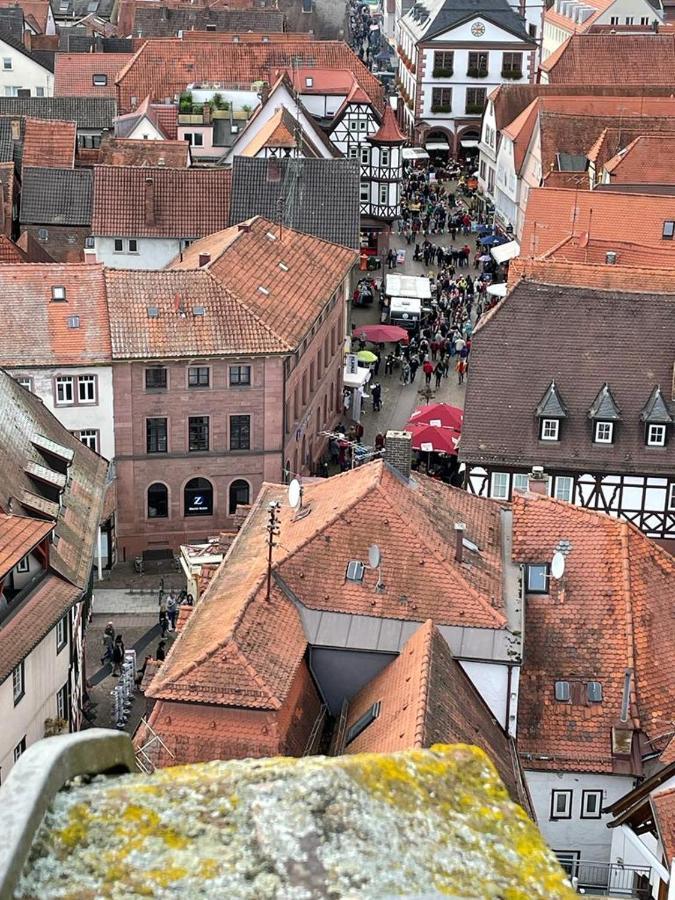Wohnen Im Springerhof Apartment Lohr am Main ภายนอก รูปภาพ