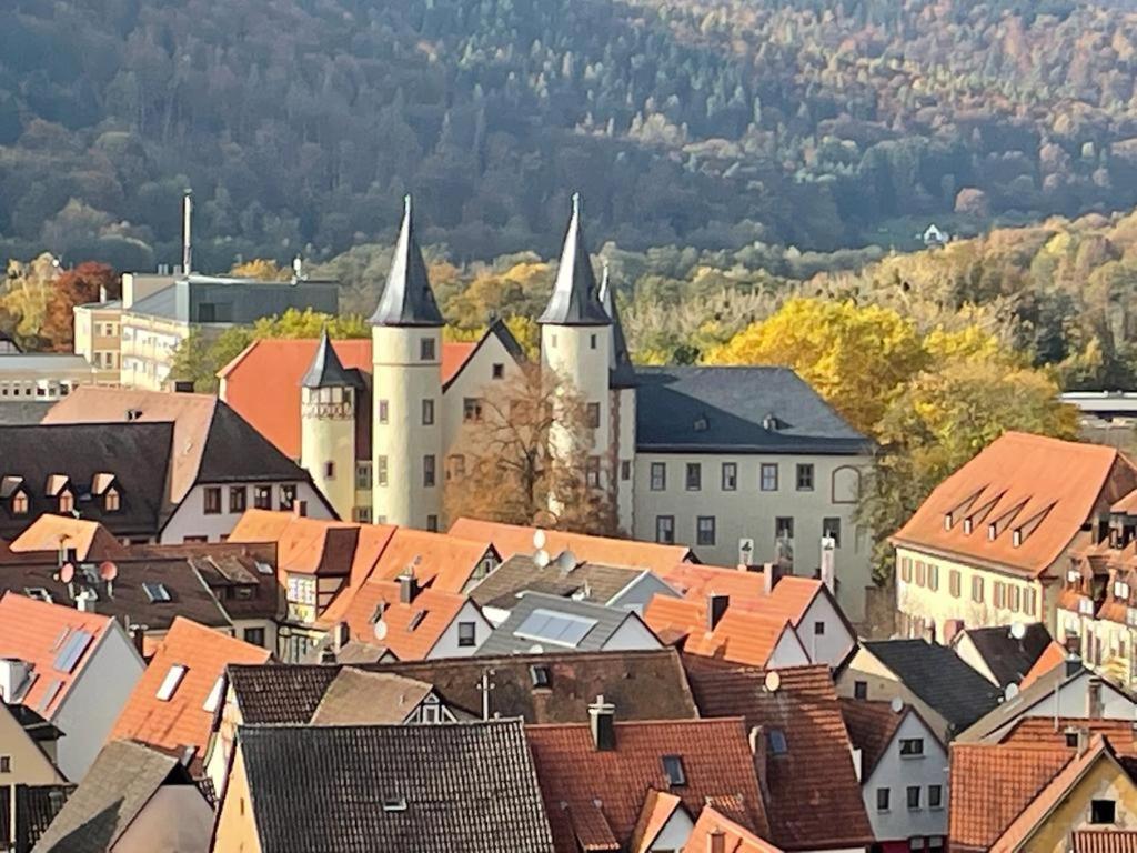 Wohnen Im Springerhof Apartment Lohr am Main ภายนอก รูปภาพ