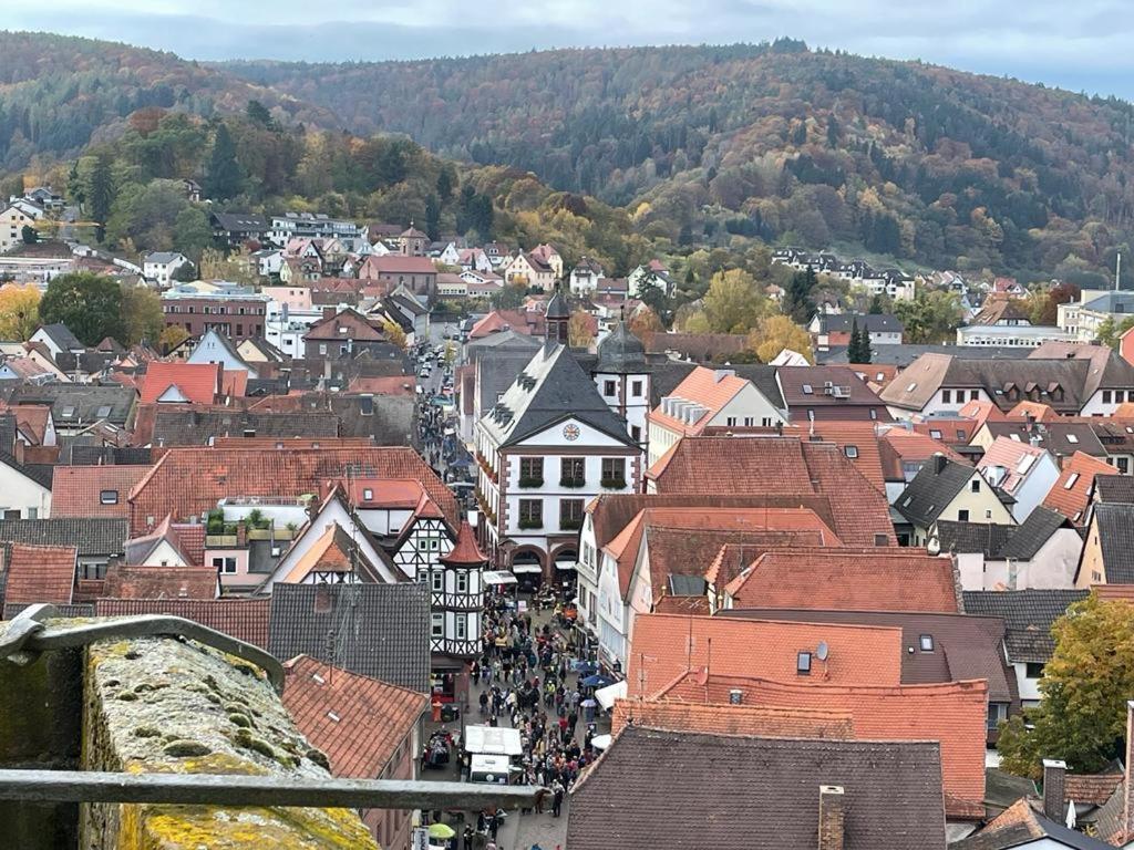 Wohnen Im Springerhof Apartment Lohr am Main ภายนอก รูปภาพ