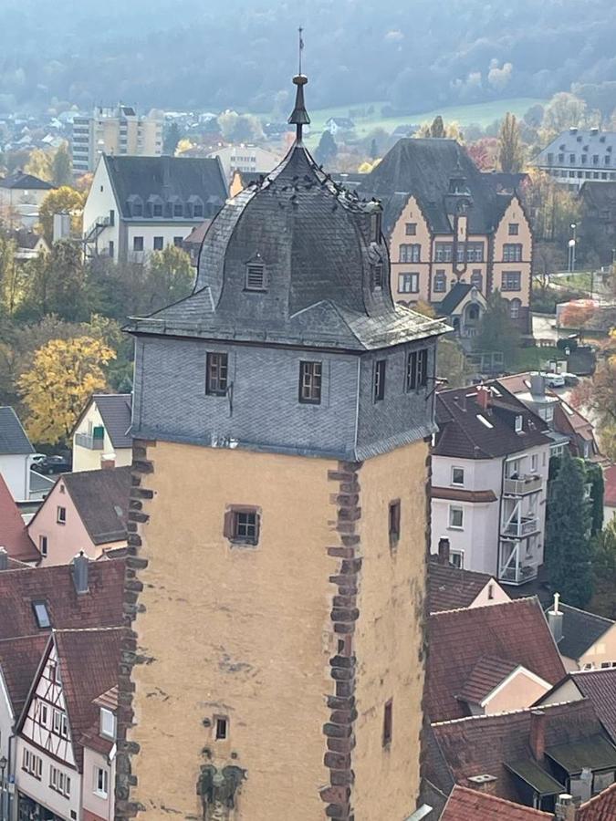 Wohnen Im Springerhof Apartment Lohr am Main ภายนอก รูปภาพ